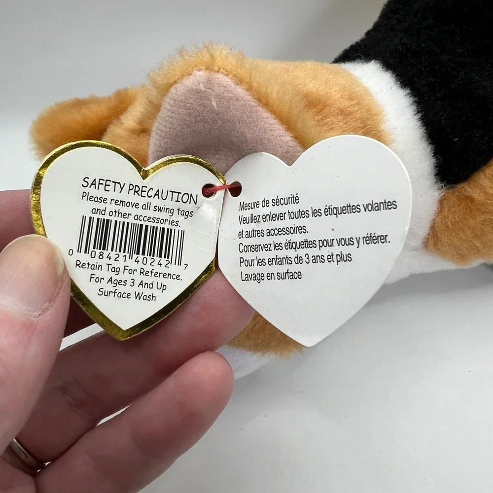 Ty Colin the Corgi 8